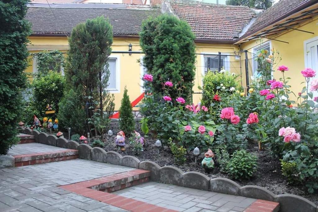 Color Home Hermannstadt 1 Exterior foto